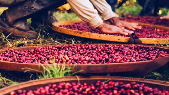 Capricornio Coffees